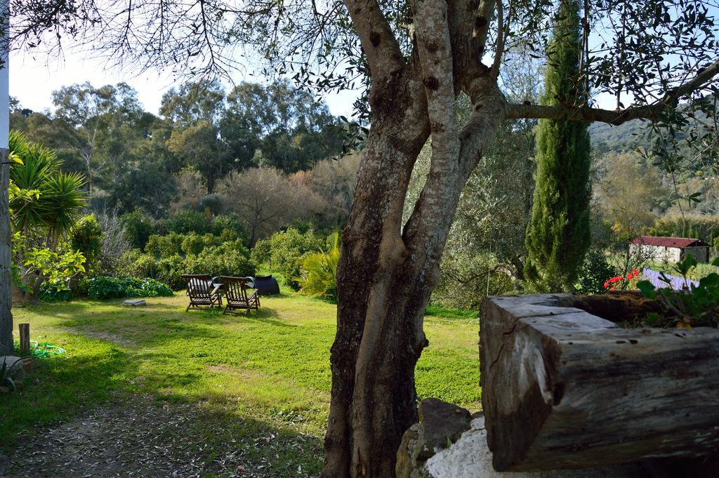 Casa Rural Ahoraya El Colmenar Dış mekan fotoğraf