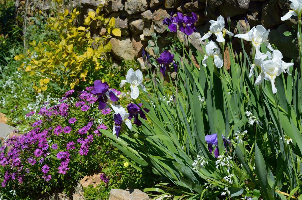 Casa Rural Ahoraya El Colmenar Dış mekan fotoğraf