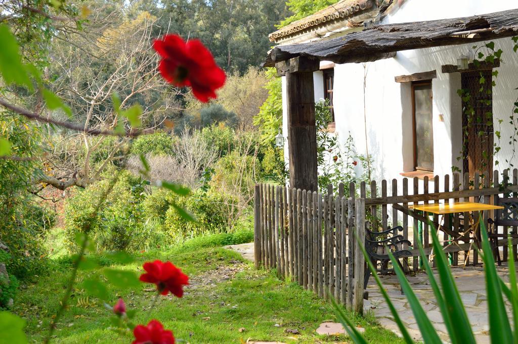 Casa Rural Ahoraya El Colmenar Dış mekan fotoğraf