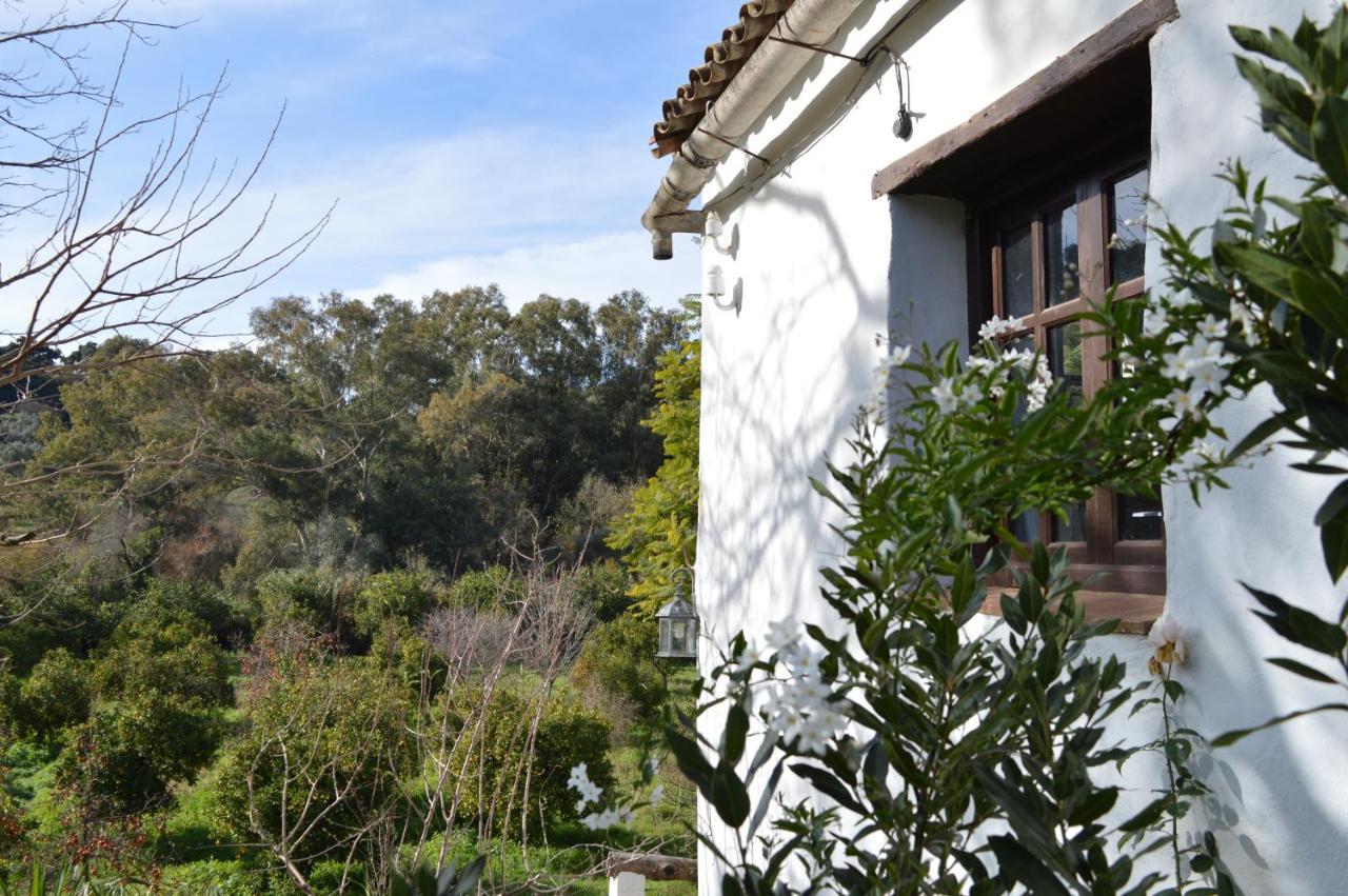 Casa Rural Ahoraya El Colmenar Dış mekan fotoğraf